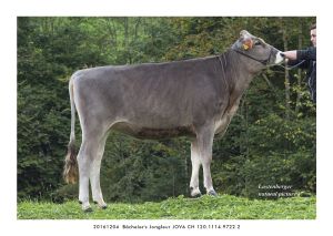 20161204  Bchelers Jongleur JOVA CH 120.1114.9722.2 13x18